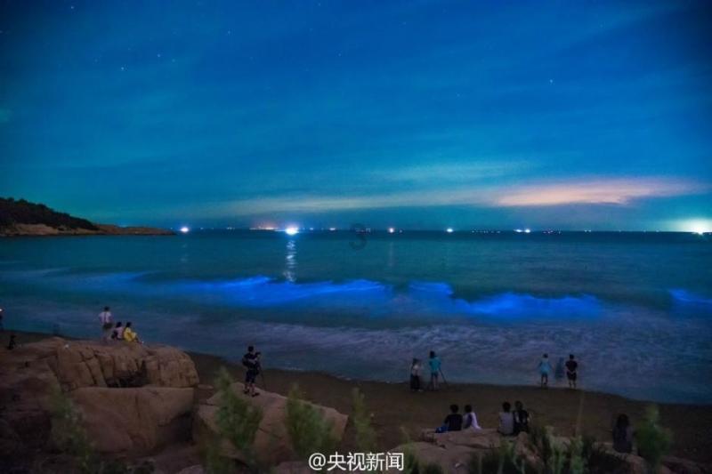时尚小鸡救援